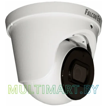 IP-камера Falcon Eye FE-IPC-DV5-40pa